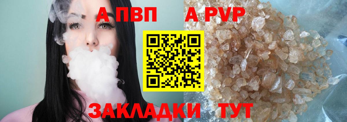 Альфа ПВП СК КРИС Великий Новгород