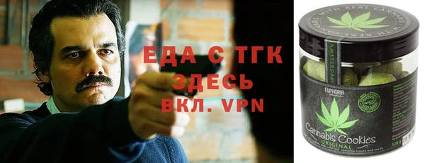 СК Новозыбков