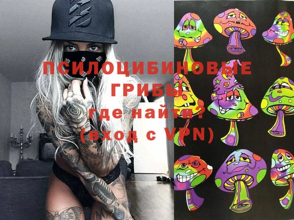 СК Новозыбков