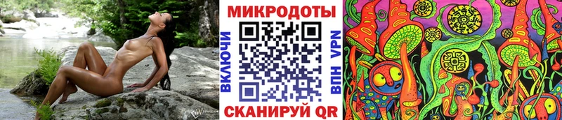 Галлюциногенные грибы Psilocybe маркетплейс наркотические препараты Великий Новгород закладка